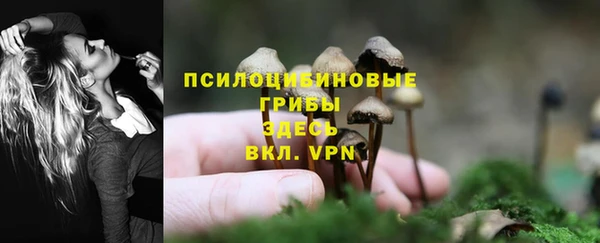 марки lsd Алексеевка