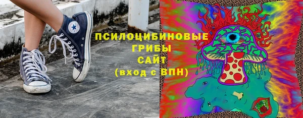 СК Покров
