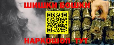 сатива Кингисепп