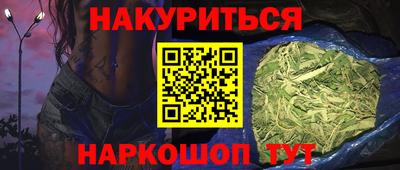 сатива Кингисепп