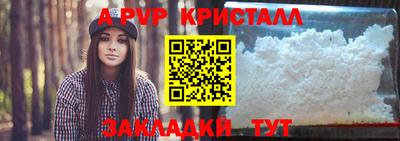 сатива Кингисепп