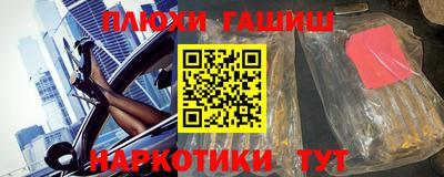 сатива Кингисепп
