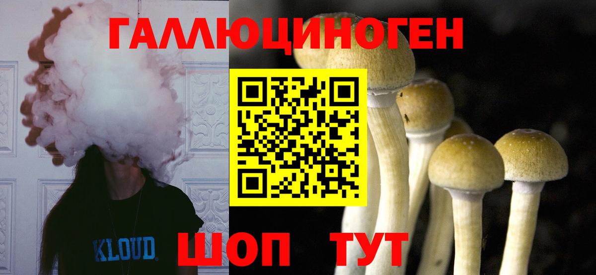 Коркино  Галлюциногенные грибы Cubensis  Вход с VPN 